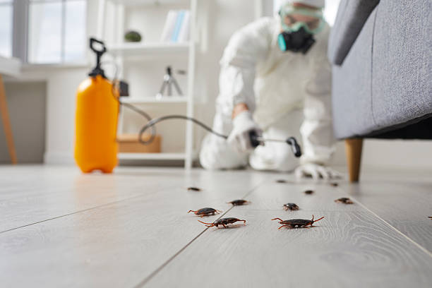 Post-Treatment Bed Bug Interceptor Monitoring in Port Monmouth