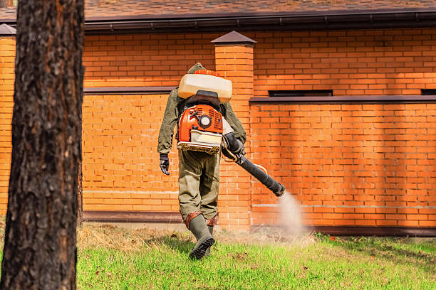 Bed Bug Clearance Verification and Documentation in Port Monmouth